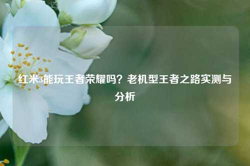 红米3能玩王者荣耀吗?老机型王者之路实测与分析