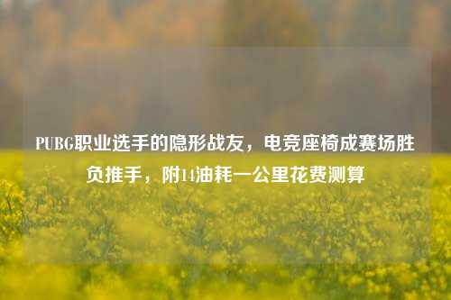 PUBG职业选手的隐形战友，电竞座椅成赛场胜负推手，附14油耗一公里花费测算