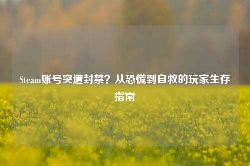 Steam账号突遭封禁？从恐慌到自救的玩家生存指南