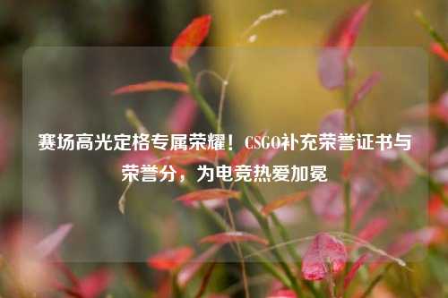 赛场高光定格专属荣耀！CSGO补充荣誉证书与荣誉分，为电竞热爱加冕