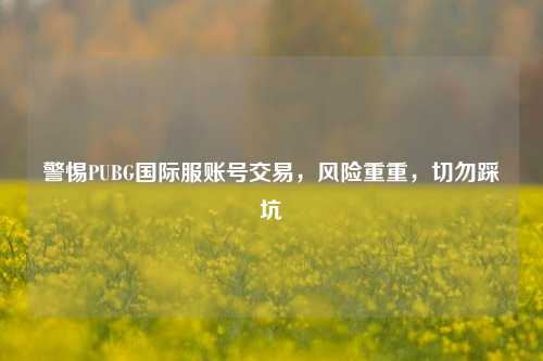 警惕PUBG国际服账号交易，风险重重，切勿踩坑