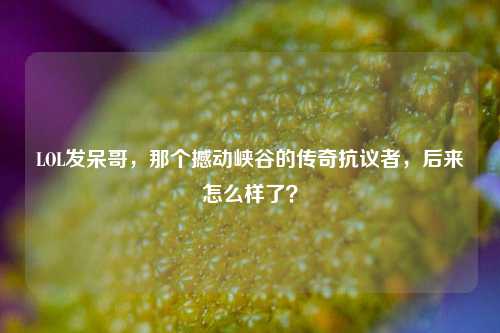 LOL发呆哥,那个撼动峡谷的传奇抗议者,后来怎么样了?