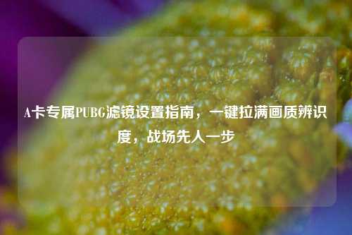 A卡专属PUBG滤镜设置指南，一键拉满画质辨识度，战场先人一步