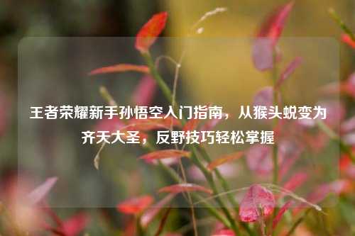 王者荣耀新手孙悟空入门指南，从猴头蜕变为齐天大圣，反野技巧轻松掌握