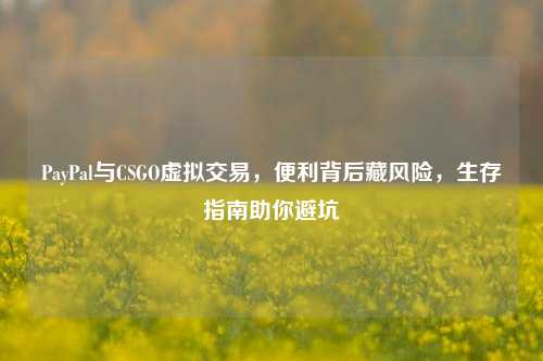 PayPal与CSGO虚拟交易，便利背后藏风险，生存指南助你避坑