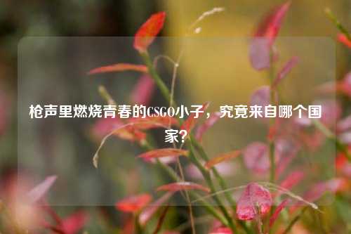 枪声里燃烧青春的CSGO小子，究竟来自哪个国家？