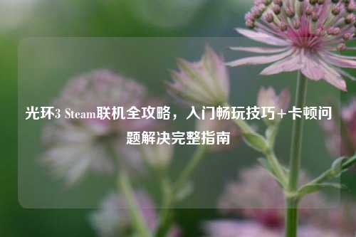 光环3 Steam联机全攻略,入门畅玩技巧+卡顿问题解决完整指南