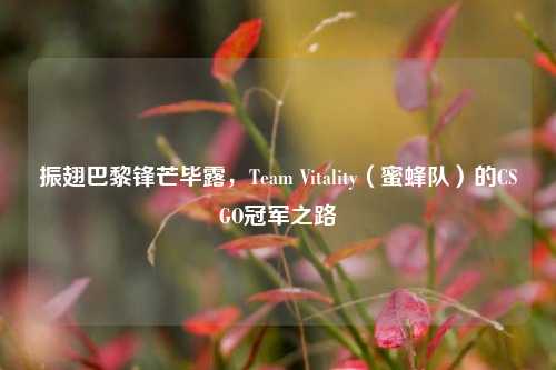 振翅巴黎锋芒毕露,Team Vitality(蜜蜂队)的CSGO冠军之路