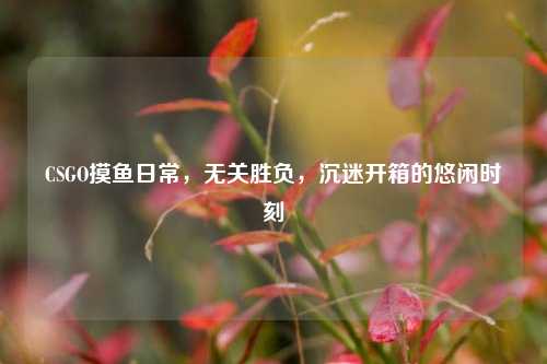 CSGO摸鱼日常，无关胜负，沉迷开箱的悠闲时刻