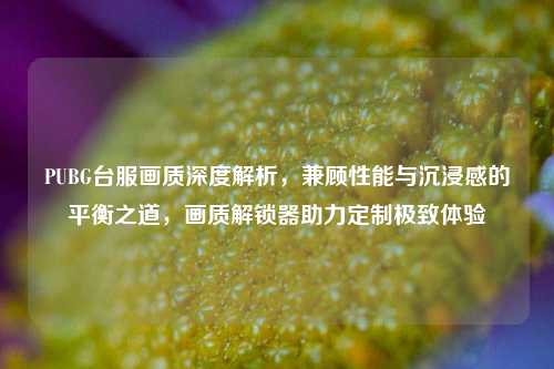 PUBG台服画质深度解析，兼顾性能与沉浸感的平衡之道，画质解锁器助力定制极致体验