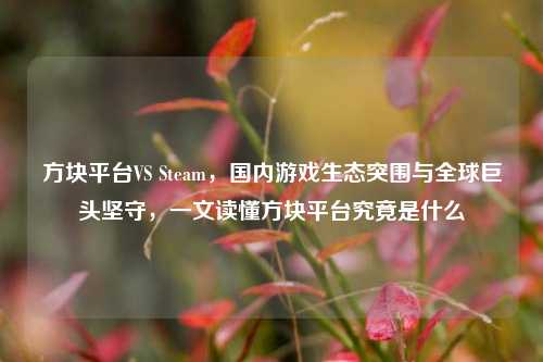 方块平台VS Steam，国内游戏生态突围与全球巨头坚守，一文读懂方块平台究竟是什么