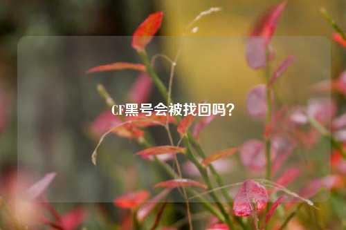 CF黑号会被找回吗?