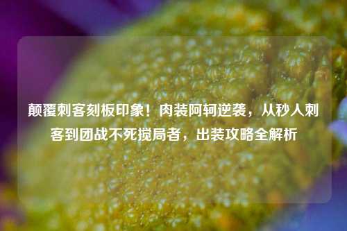 颠覆刺客刻板印象！肉装阿轲逆袭，从秒人刺客到团战不死搅局者，出装攻略全解析