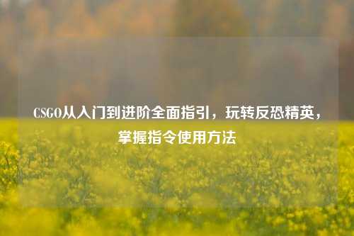 CSGO从入门到进阶全面指引，玩转反恐精英，掌握指令使用方法