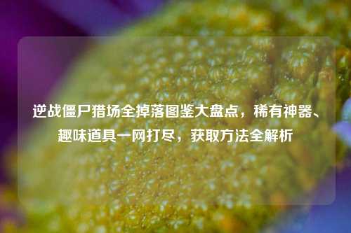 逆战僵尸猎场全掉落图鉴大盘点,稀有神器、趣味道具一网打尽,获取方法全解析