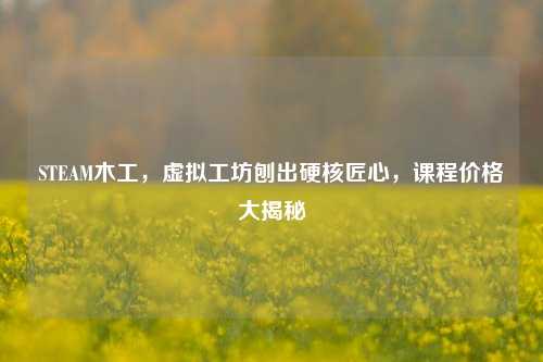 STEAM木工，虚拟工坊刨出硬核匠心，课程价格大揭秘