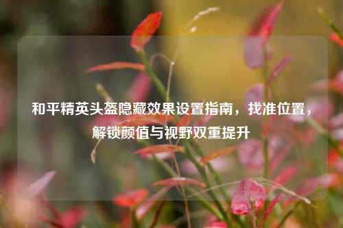 和平精英头盔隐藏效果设置指南,找准位置,解锁颜值与视野双重提升