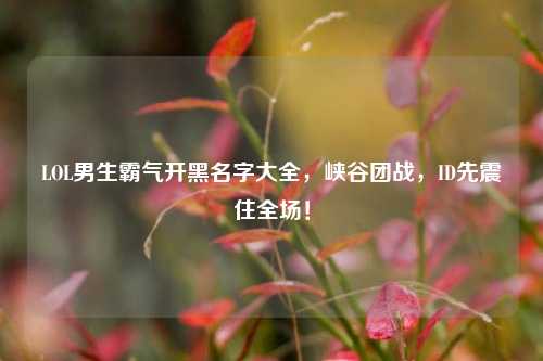 LOL男生霸气开黑名字大全，峡谷团战，ID先震住全场！