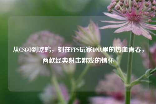 从CSGO到吃鸡,刻在FPS玩家DNA里的热血青春,两款经典射击游戏的情怀
