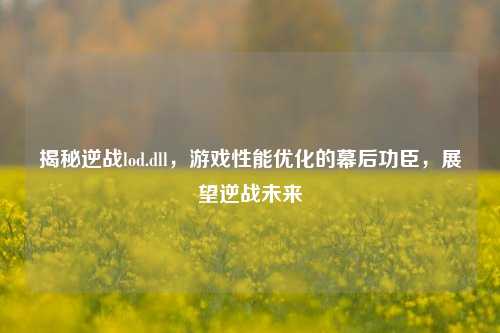 揭秘逆战lod.dll,游戏性能优化的幕后功臣,展望逆战未来