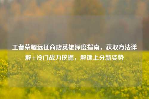 王者荣耀远征商店英雄深度指南，获取方法详解+冷门战力挖掘，解锁上分新姿势