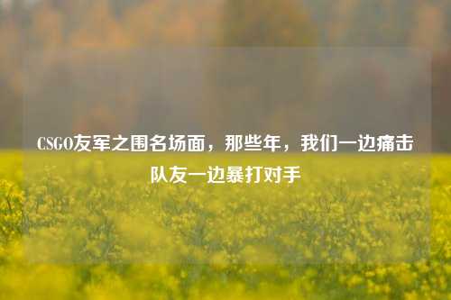 CSGO友军之围名场面，那些年，我们一边痛击队友一边暴打对手