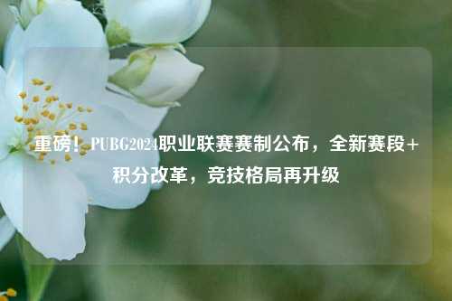 重磅！PUBG2024职业联赛赛制公布，全新赛段+积分改革，竞技格局再升级