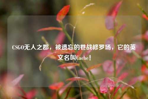 CSGO无人之郡，被遗忘的巷战修罗场，它的英文名叫Cache！