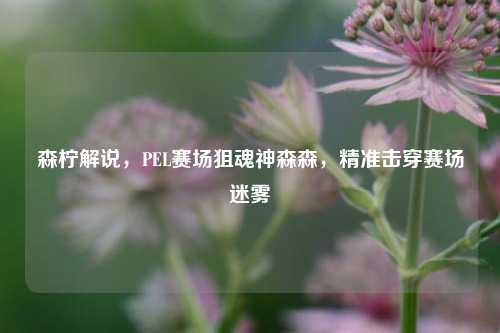森柠解说,PEL赛场狙魂神森森,精准击穿赛场迷雾