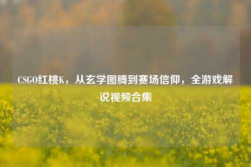 CSGO红桃K，从玄学图腾到赛场信仰，全游戏解说视频合集