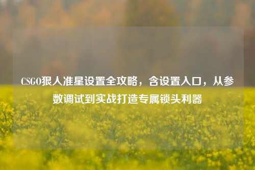 CSGO狠人准星设置全攻略,含设置入口,从参数调试到实战打造专属锁头利器