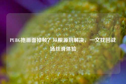 PUBG拖画面掉帧？从根源到解决，一文找回战场丝滑体验