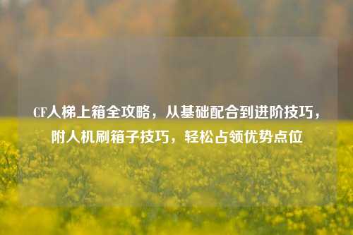 CF人梯上箱全攻略，从基础配合到进阶技巧，附人机刷箱子技巧，轻松占领优势点位
