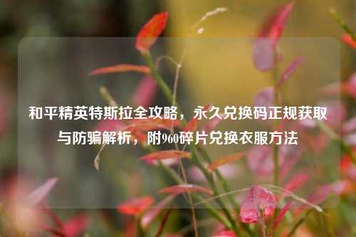 和平精英特斯拉全攻略，永久兑换码正规获取与防骗解析，附960碎片兑换衣服方法