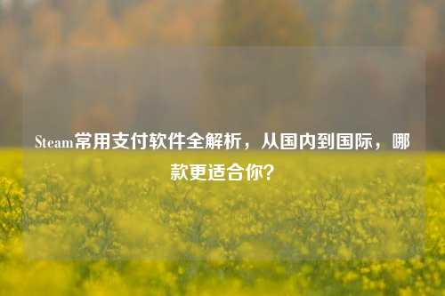 Steam常用支付软件全解析，从国内到国际，哪款更适合你？