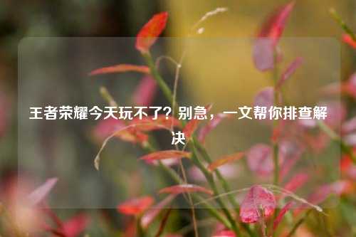 王者荣耀今天玩不了？别急，一文帮你排查解决