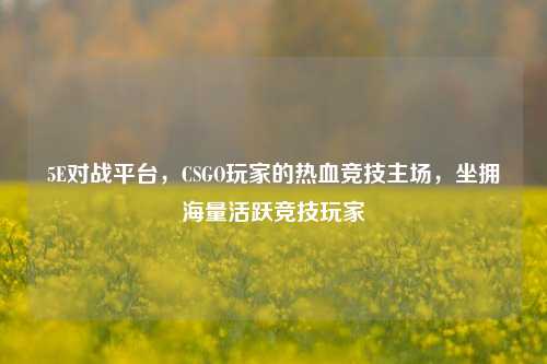 5E对战平台，CSGO玩家的热血竞技主场，坐拥海量活跃竞技玩家
