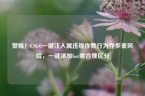 警惕！CSGO一键注入属违规作弊行为存多重风险，一键添加bot需合理区分