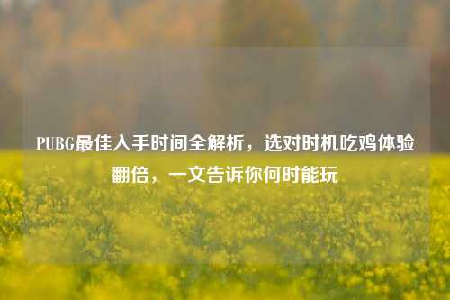 PUBG最佳入手时间全解析，选对时机吃鸡体验翻倍，一文告诉你何时能玩