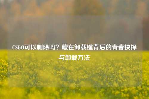 CSGO可以删除吗?藏在卸载键背后的青春抉择与卸载方法