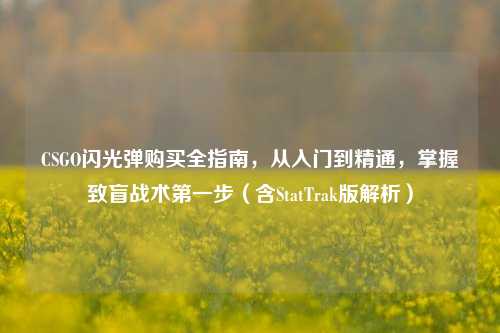 CSGO闪光弹购买全指南，从入门到精通，掌握致盲战术第一步（含StatTrak版解析）