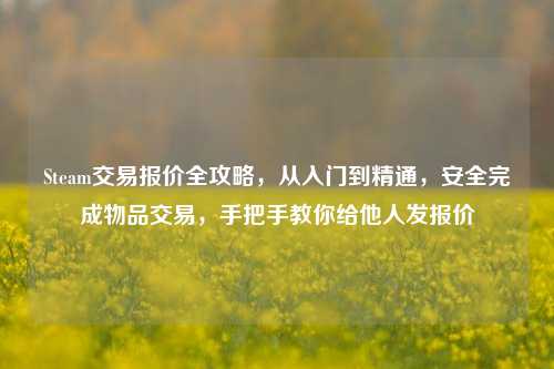 Steam交易报价全攻略,从入门到精通,安全完成物品交易,手把手教你给他人发报价