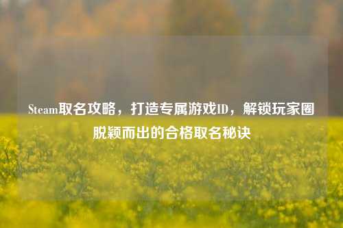 Steam取名攻略，打造专属游戏ID，解锁玩家圈脱颖而出的合格取名秘诀
