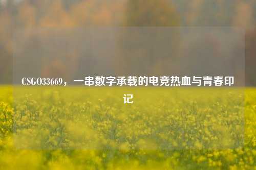 CSGO33669，一串数字承载的电竞热血与青春印记