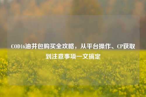 COD16油井包购买全攻略，从平台操作、CP获取到注意事项一文搞定