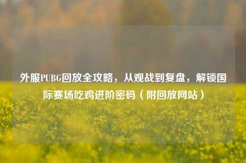 外服PUBG回放全攻略，从观战到复盘，解锁国际赛场吃鸡进阶密码（附回放网站）