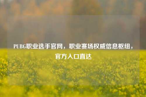 PUBG职业选手官网，职业赛场权威信息枢纽，官方入口直达