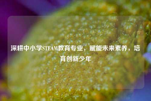 深耕中小学STEAM教育专业，赋能未来素养，培育创新少年