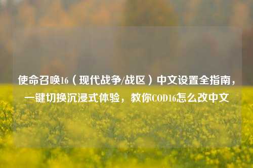 使命召唤16（现代战争/战区）中文设置全指南，一键切换沉浸式体验，教你COD16怎么改中文