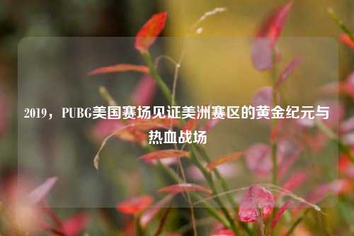 2019，PUBG美国赛场见证美洲赛区的黄金纪元与热血战场